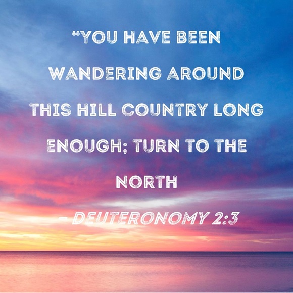 🌻Meet your Posh Ambassador Connie🌻 - Picture 2 of 7